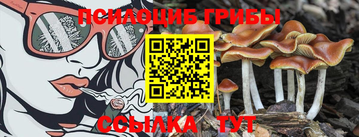 Галлюциногенные грибы GOLDEN TEACHER  Вход с VPN  Россошь 