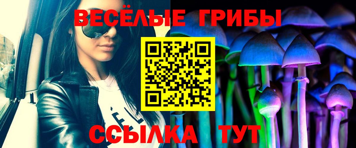 Псилоцибиновые грибы MAGIC MUSHROOMS Россошь